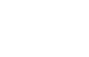 TDF Logo